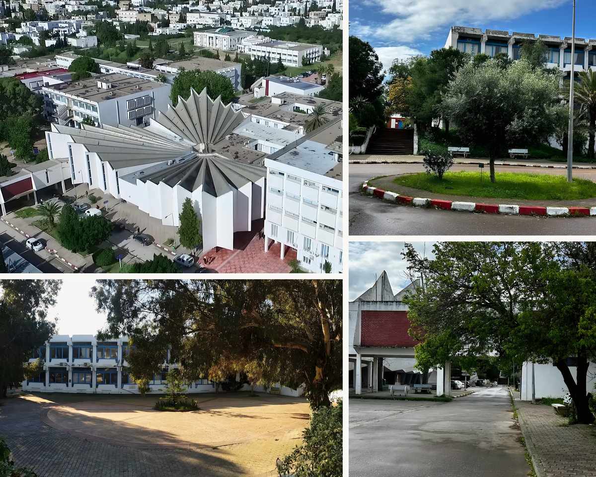 Mosaïque de quatre vues du campus : vue aérienne du bâtiment blanc à toiture en éventail ; olivier sur un rond-point devant un bâtiment aux fenêtres bleues ; cour pavée circulaire à l'ombre de grands arbres ; allée bordée d'arbres vers la toiture en éventail.